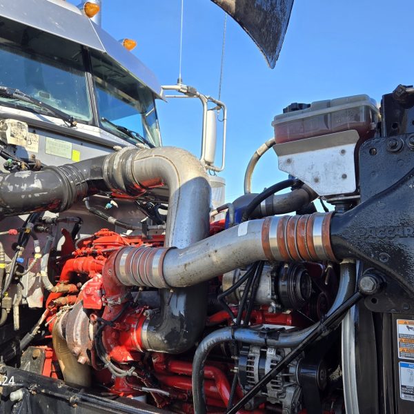 Peterbilt 389 2019