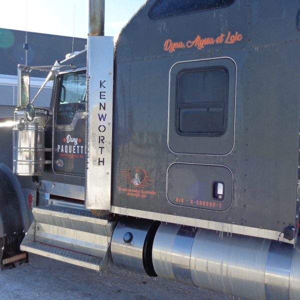 2020 Kenworth W900L 46,000 LBS NEWAY ADZ 246