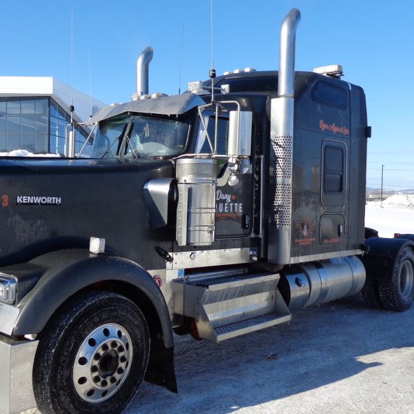 2020 Kenworth W900L 46,000 LBS NEWAY ADZ 246
