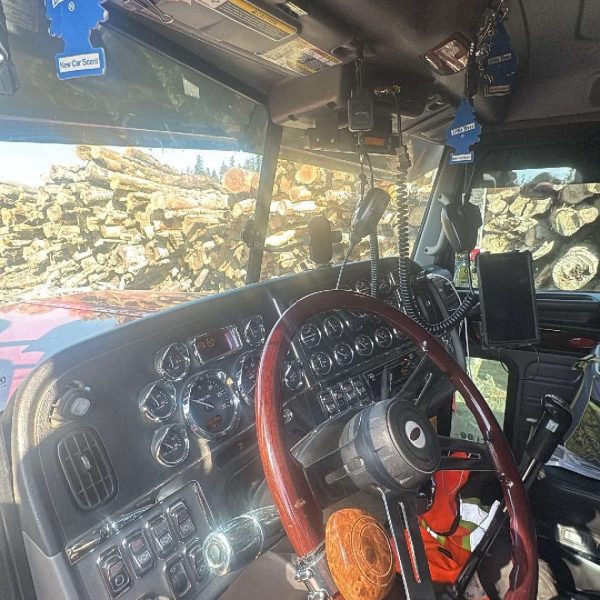 2020 Peterbilt 389 - Short Hood (123'')